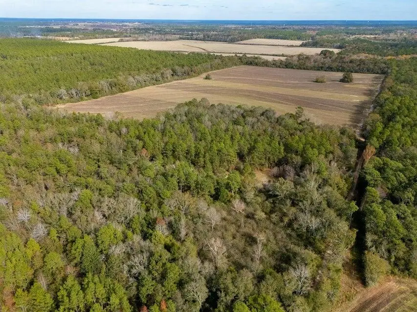 0000 N Bob Brooks Road, Baker, FL 32531 - #3