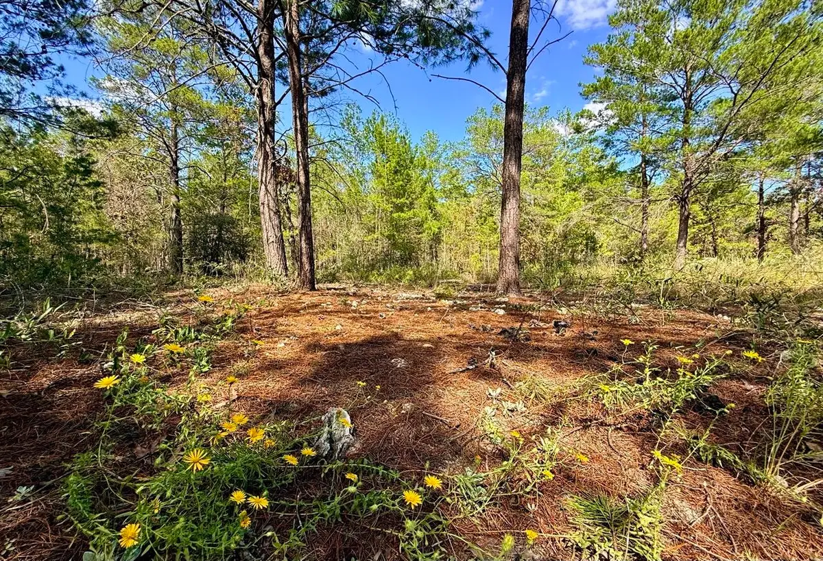 870 Watson Road M, Defuniak Springs, FL 32433 - #1