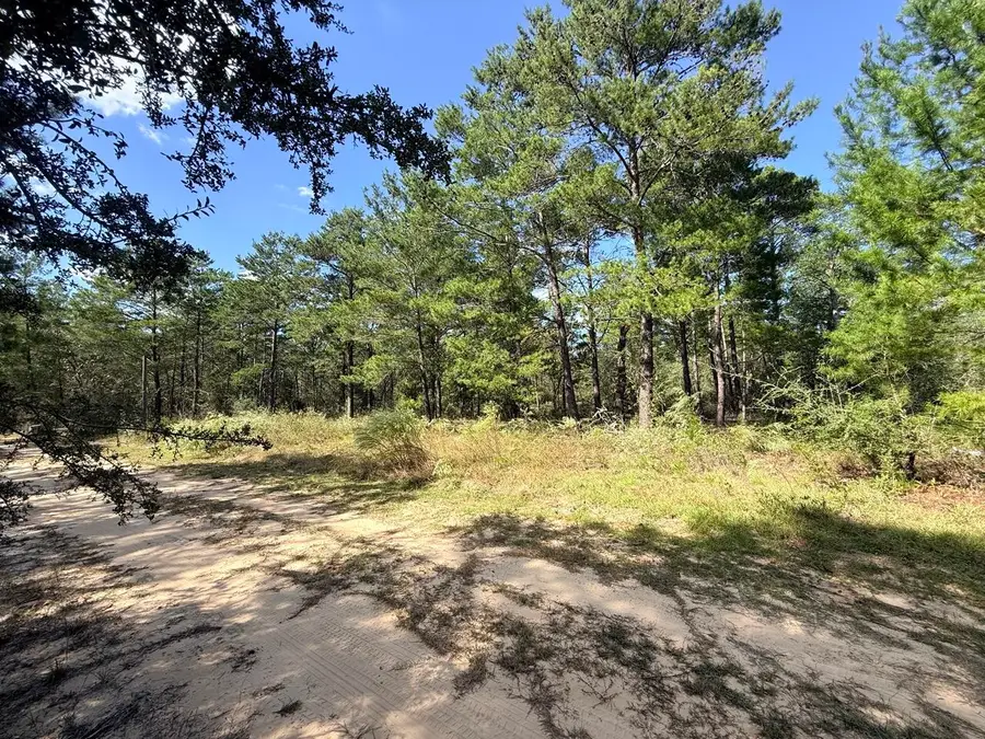 870 Watson Road M, Defuniak Springs, FL 32433 - #3