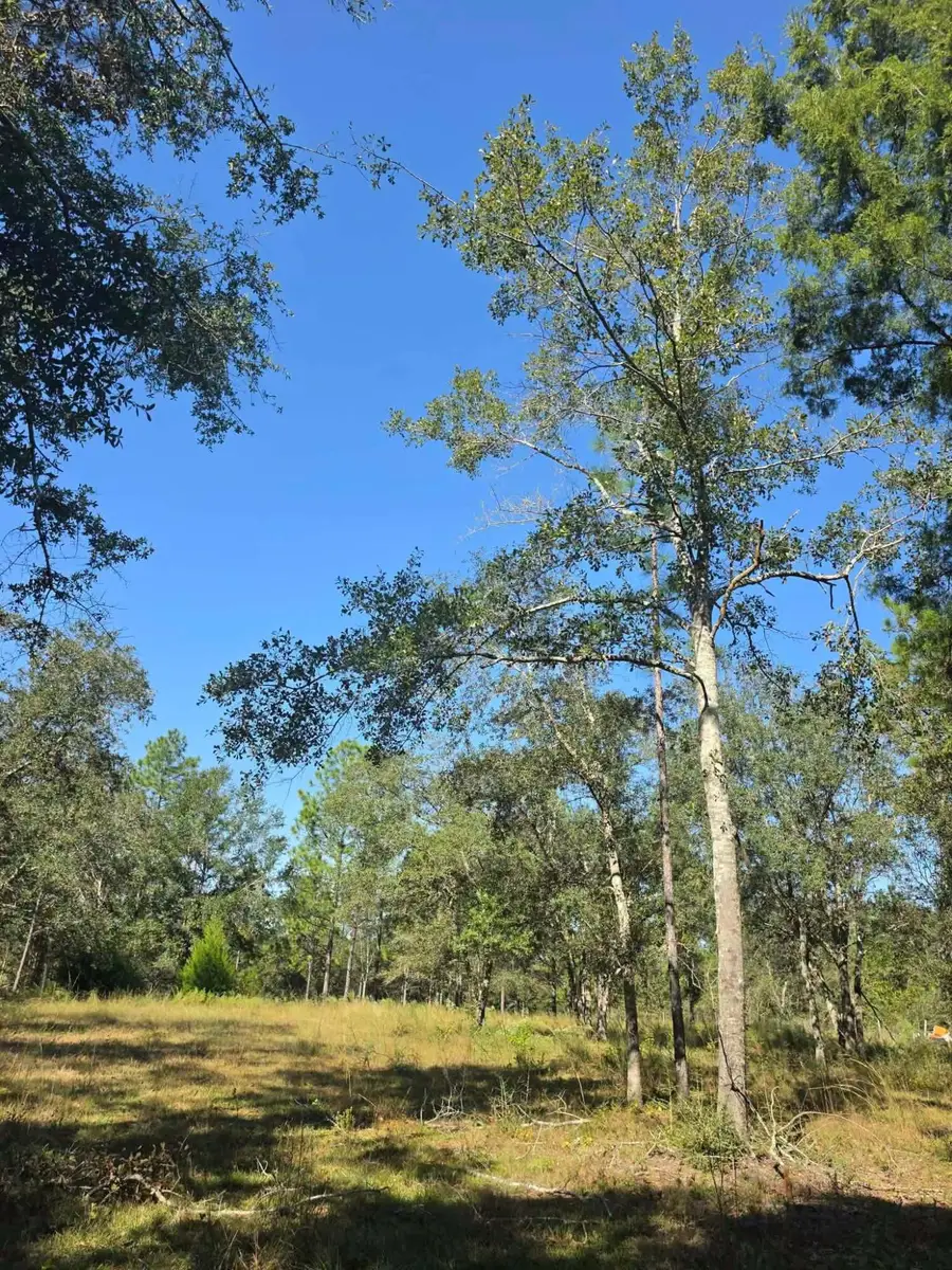 3091 Kings Lake, Defuniak Springs, FL 32433 - #2