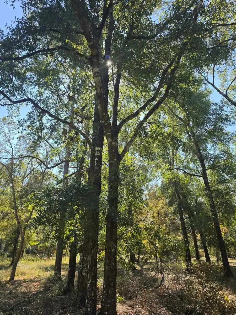 3091 Kings Lake, Defuniak Springs, FL 32433 - #3