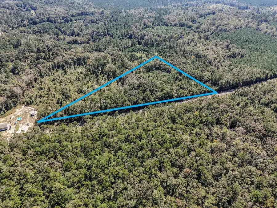 2.34 AC C J Laird Road, Ponce De Leon, FL 32455 - #2