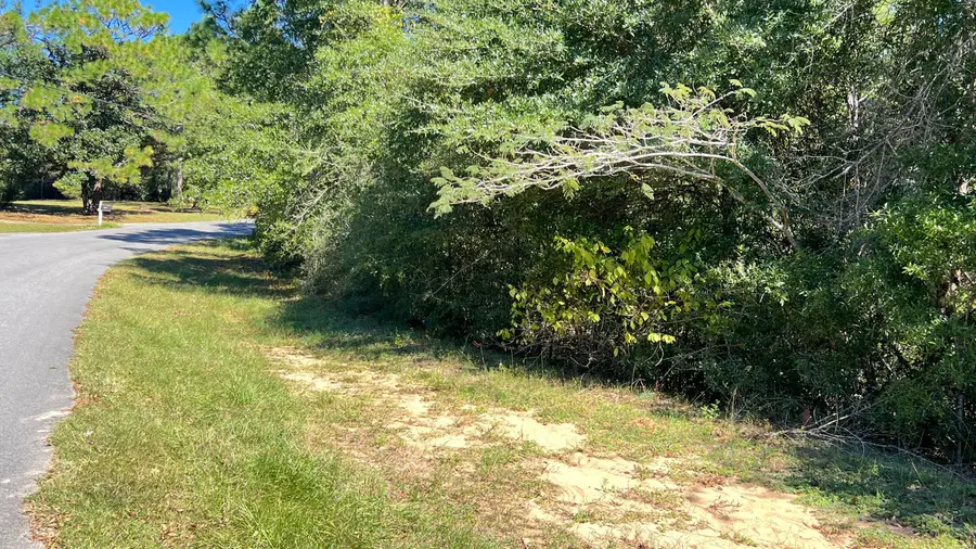 4.48 Acres Tallokas Road, Crestview, FL 32536 - #2