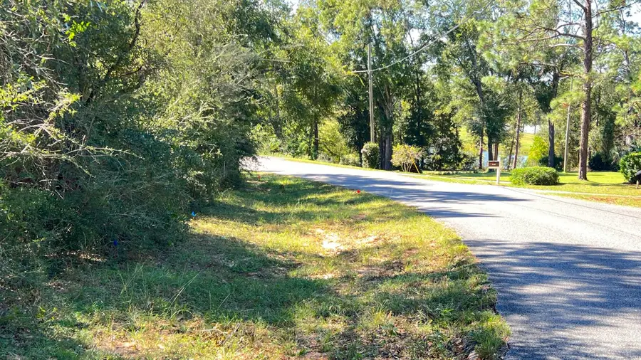 4.48 Acres Tallokas Road, Crestview, FL 32536 - #3
