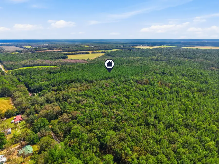 TBD Steele Road, Baker, FL 32531 - #3