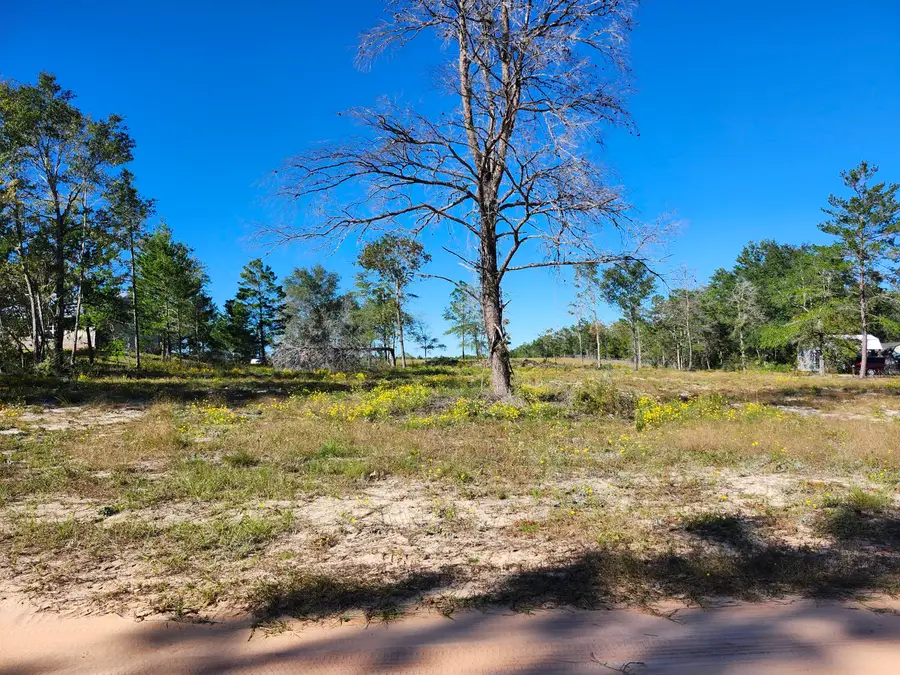 Lot 23 W Bach Drive, Defuniak Springs, FL 32433 - #2