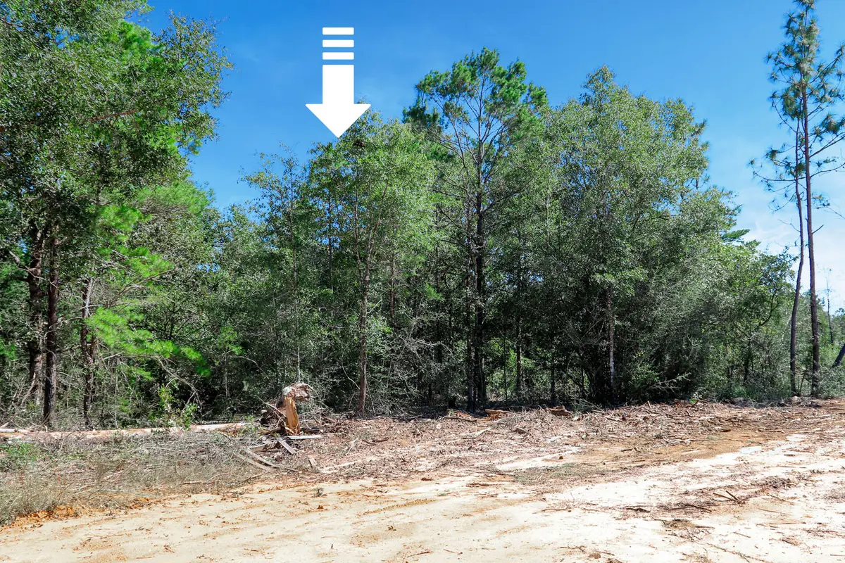 Lot 9 Leonardo Court, Defuniak Springs, FL 32433 - #1