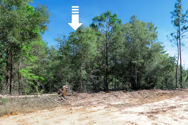 Lot 9 Leonardo Court, DeFuniak Springs, FL 32433