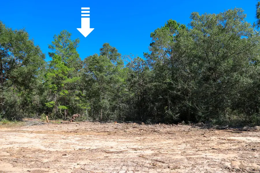 Lot 9 Leonardo Court, Defuniak Springs, FL 32433 - #2