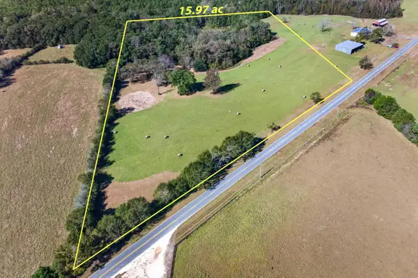 15.97 Ac. Hwy 183 A #Parcel B, Ponce De Leon, FL 32455