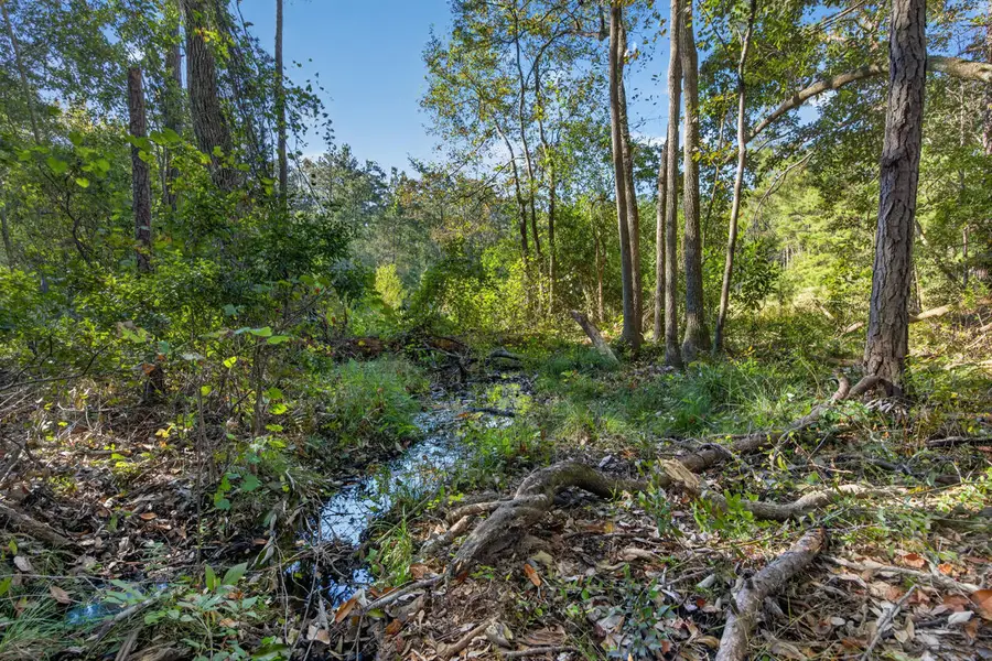 15.97 Ac. Hwy 183 A #Parcel B, Ponce De Leon, FL 32455 - #3