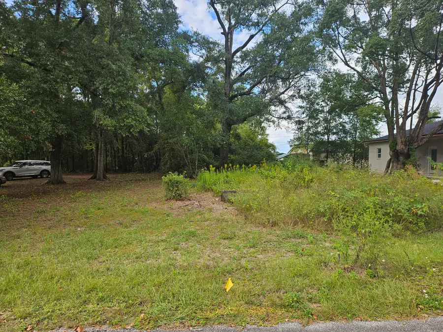 96 W Toledo Avenue, Defuniak Springs, FL 32433 - #2