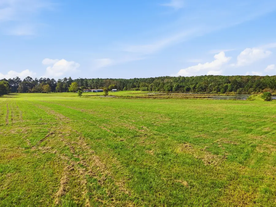 11.82 Acre Smyrna Road, Florala, AL 36442 - #3