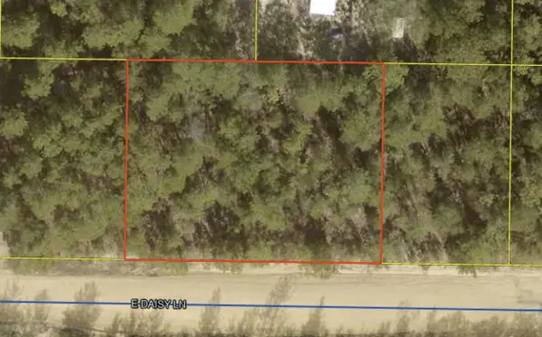 Lots 29&30 E Daisy Lane, DeFuniak Springs, FL 32433