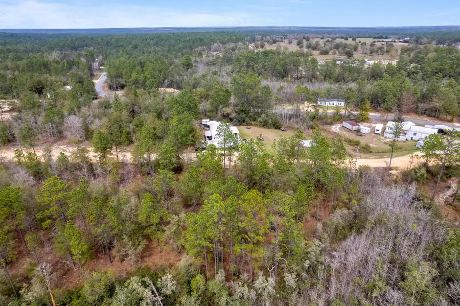 Lots 29&30 E Daisy Lane, Defuniak Springs, FL 32433 - #3