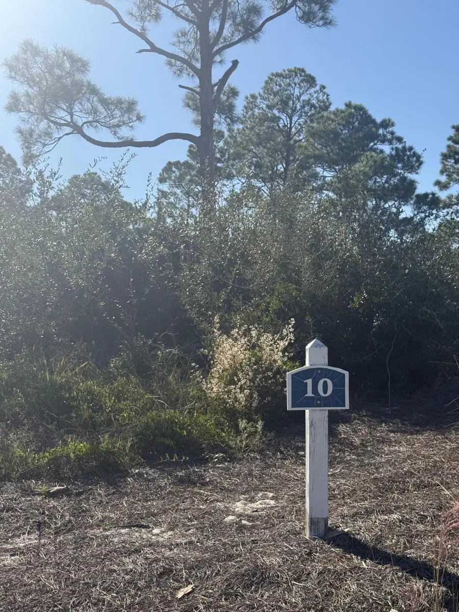 393 Cord Grass Way, Cape San Blas, FL 32456 - #2