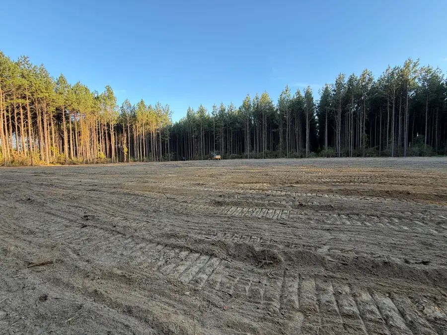 10 Acres County Line Road Road, Laurel Hill, FL 32567 - #3