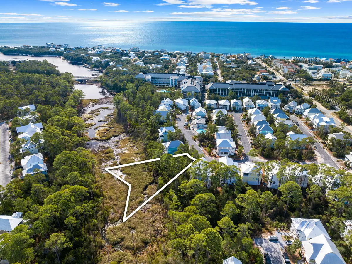 294 Cabana Trail, Santa Rosa Beach, FL 32459 - #1