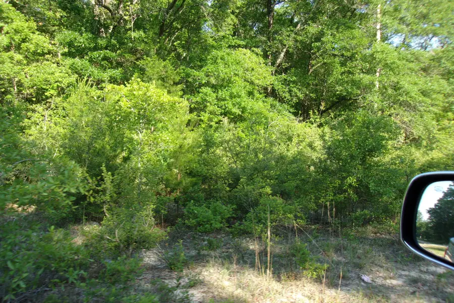 XX E Bunting Way, Crestview, FL 32539 - Image #3