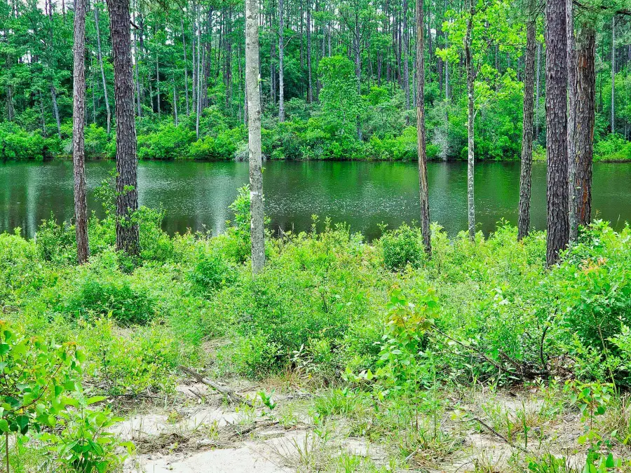 Lot 18 Quail Ridge Road, Defuniak Springs, FL 32435 - Image #2