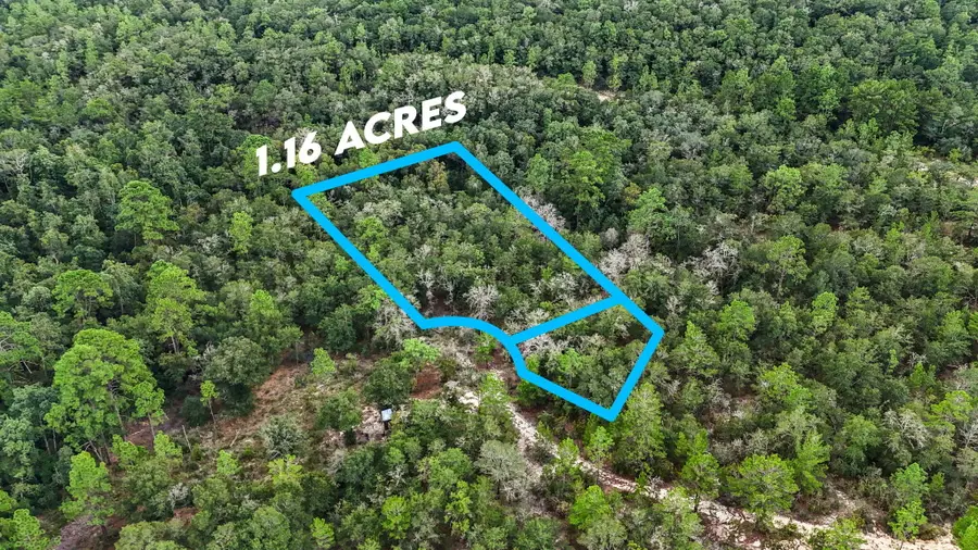 Lots 36,37,38 E Box Elder Dr, Defuniak Springs, FL 32433 - Image #2