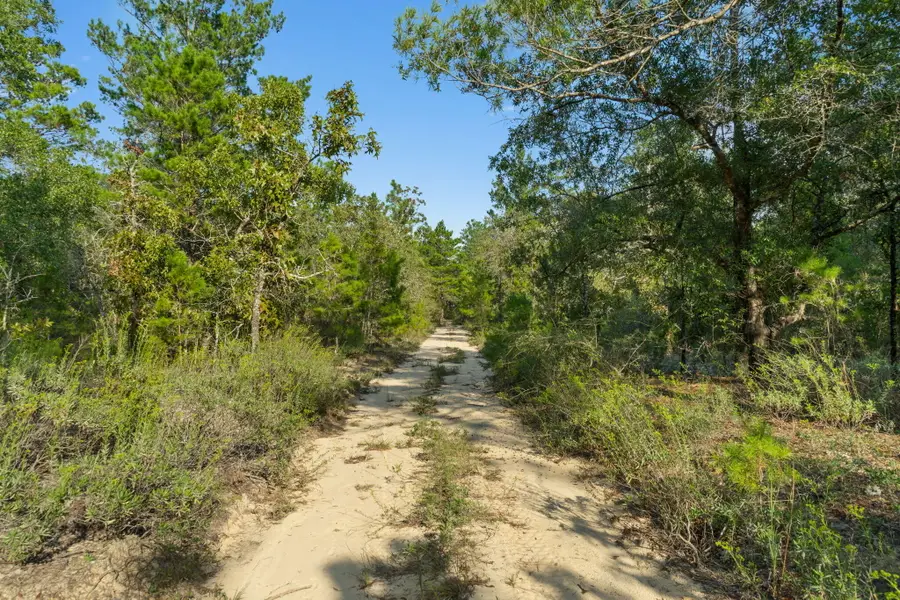 Lots 36,37,38 E Box Elder Dr, Defuniak Springs, FL 32433 - Image #3