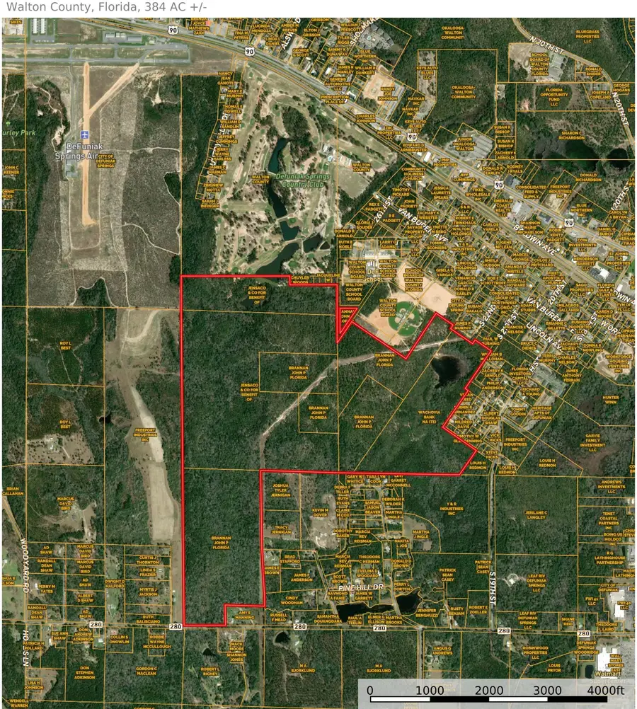 384 Acres Bob Sikes Road, Defuniak Springs, FL 32433 - Image #2