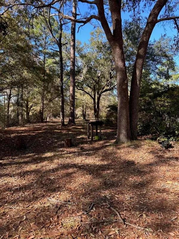 TBD Pope Street, Freeport, FL 32439