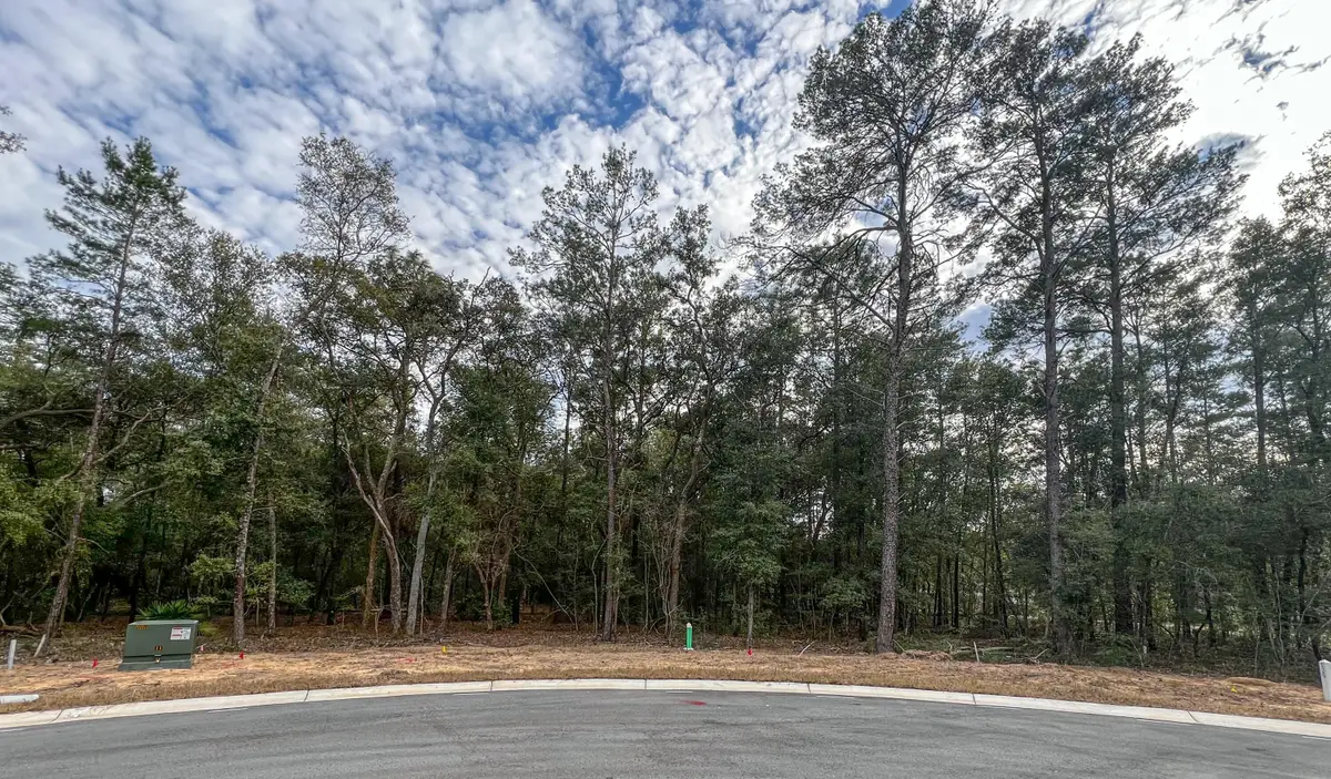 115 Yearling Court, Niceville, FL 32578 - Image #1