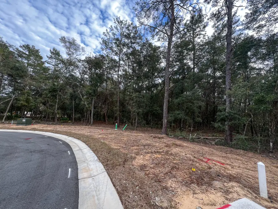 115 Yearling Court, Niceville, FL 32578 - Image #3