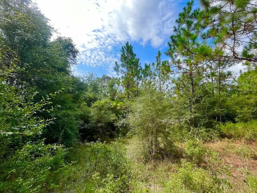 114 Tranquility Drive, Crestview, FL 32536 - Image #3