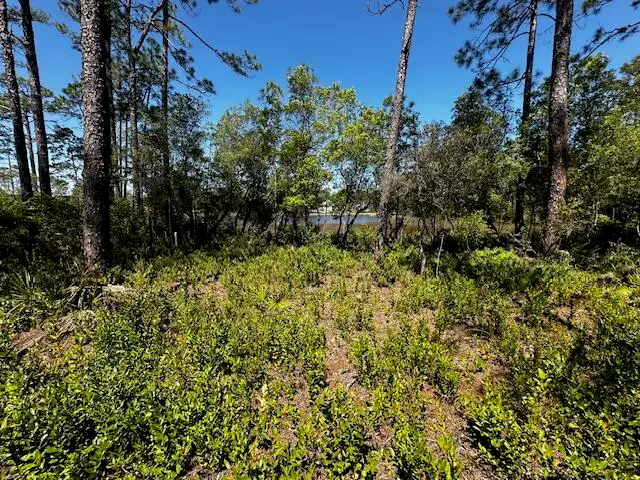 22114 Marsh Rabbit Run, Panama City Beach, FL 32413 - Image #3