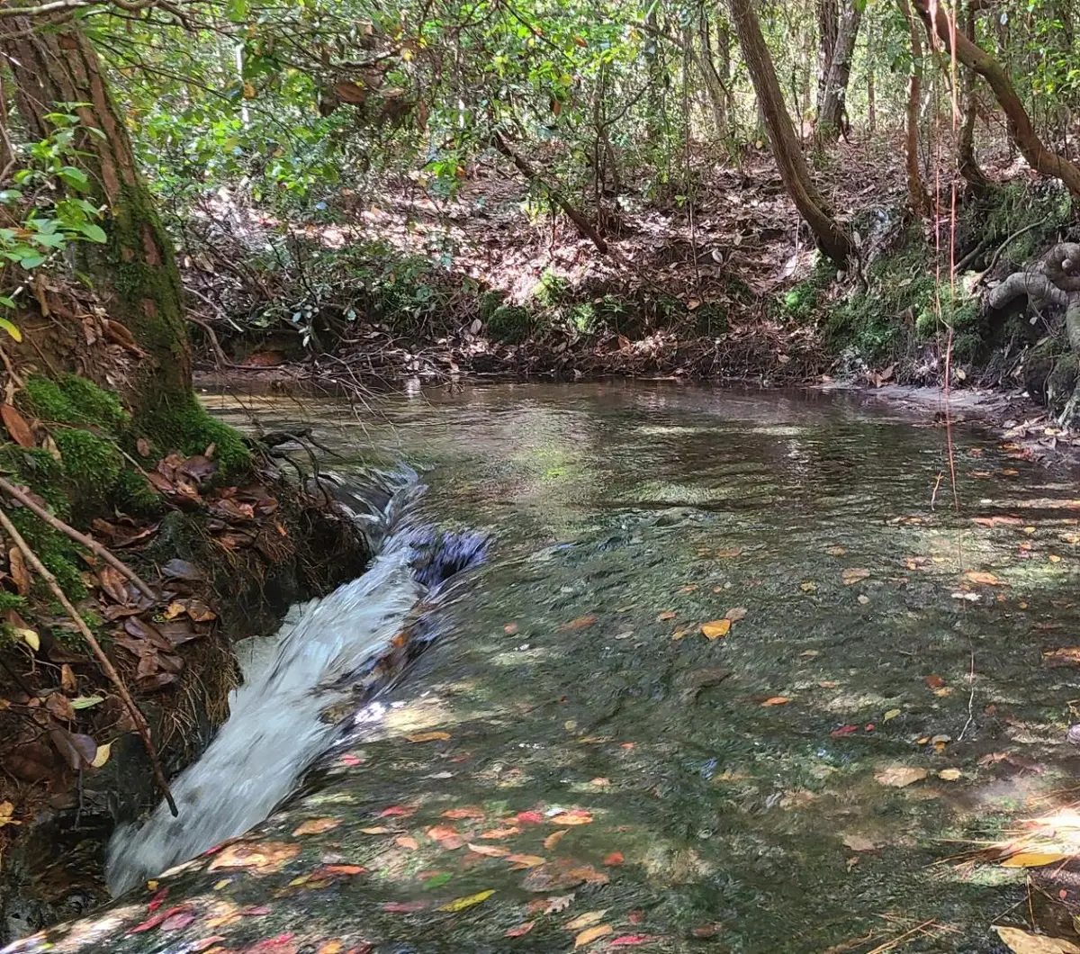 000 Ponderosa Lane, Crestview, FL 32539 - Image #1