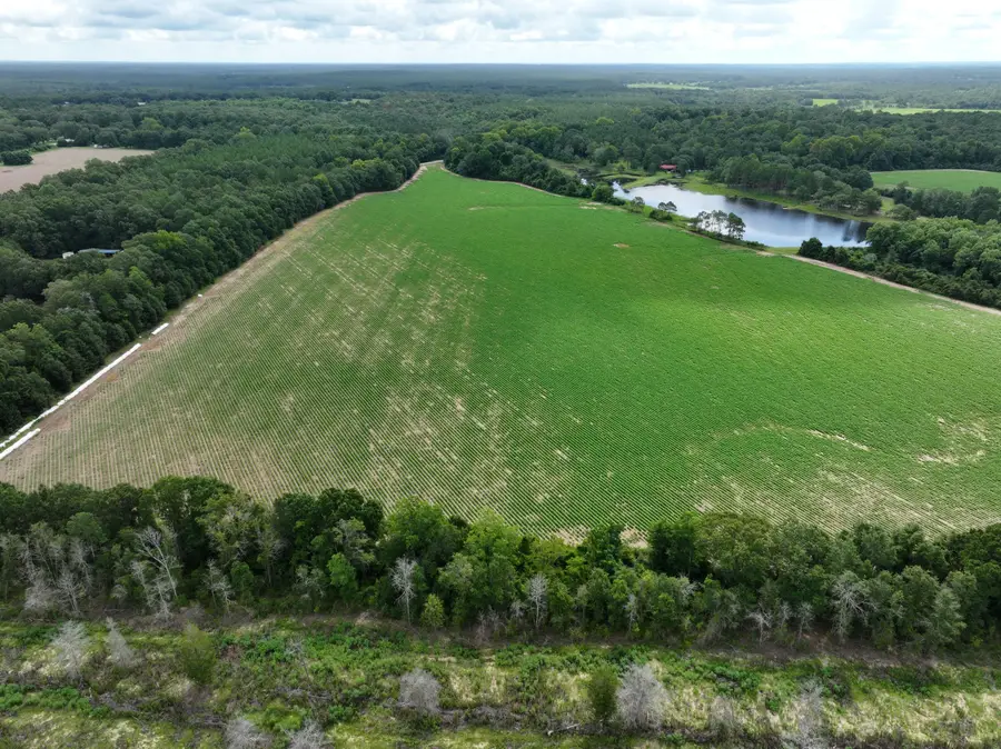 xx N Co Highway 285, Defuniak Springs, FL 32433 - Image #3