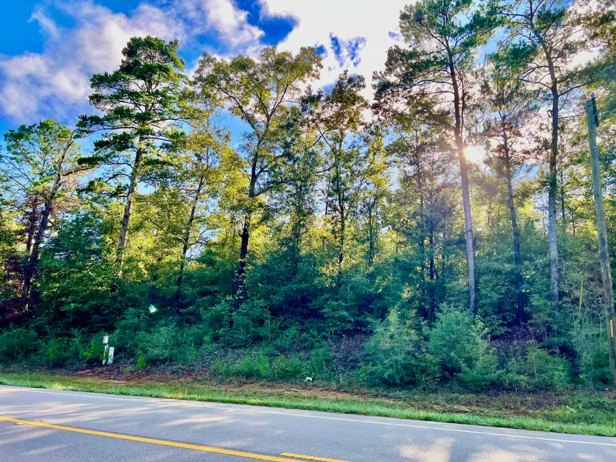 TBD St Highway 81 #(170 Acres), Ponce De Leon, FL 32455 - Image #2