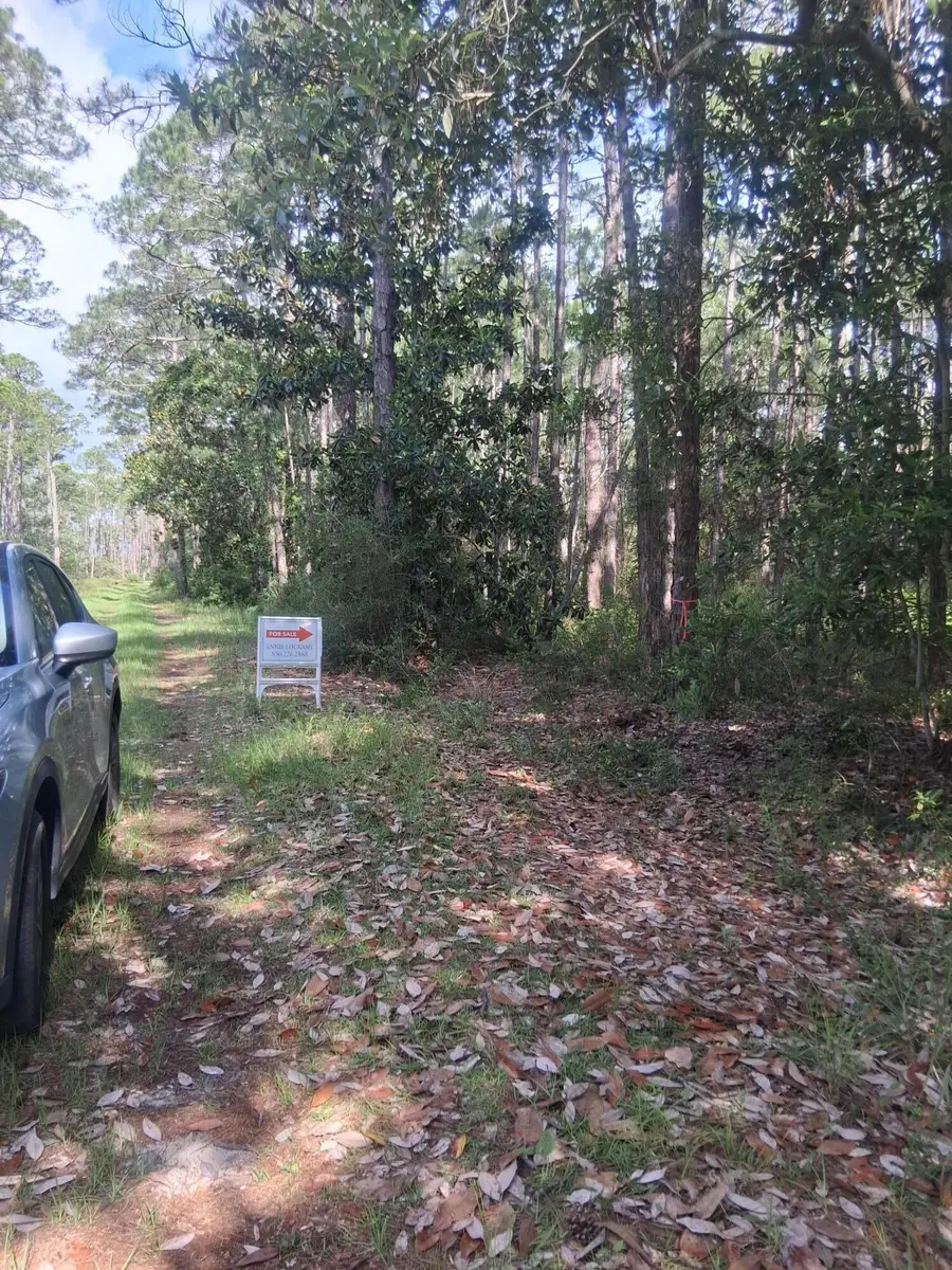 Lot 11 14th Street, Santa Rosa Beach, FL 32459 - #2
