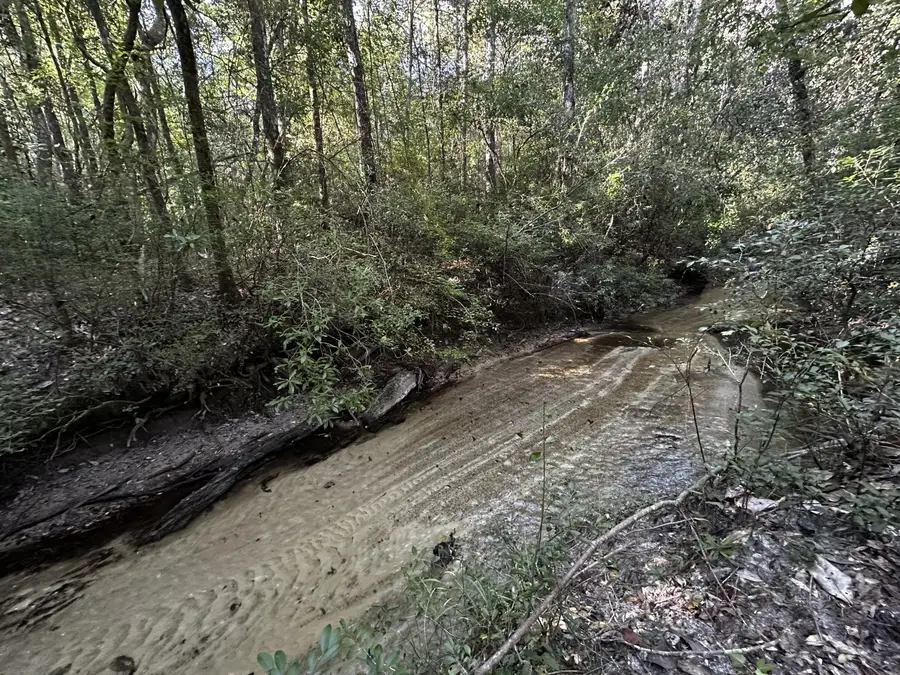 TBD S Carroll Drive, Baker, FL 32531 - Image #2