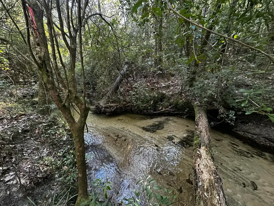 TBD S Carroll Drive, Baker, FL 32531 - Image #3