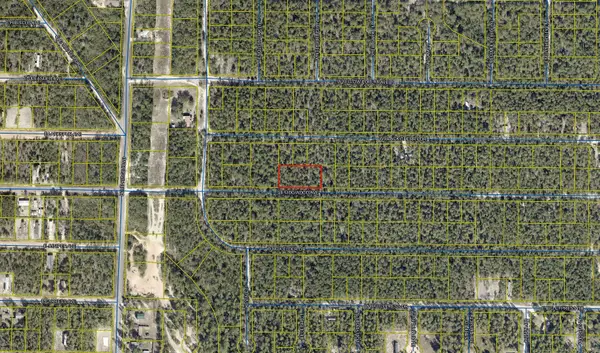 .69 Acre E Dogwood East Avenue, DeFuniak Springs, FL 32433