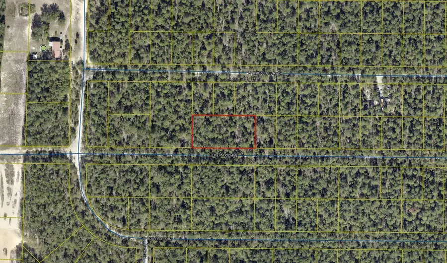 .69 Acre E Dogwood East Avenue, Defuniak Springs, FL 32433 - Image #2