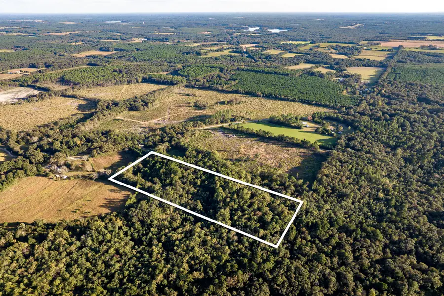 000 Co Rd 1084, Defuniak Springs, FL 32433 - Image #2