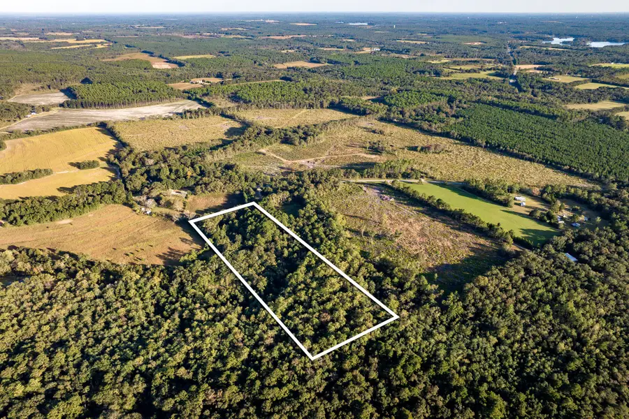 000 Co Rd 1084, Defuniak Springs, FL 32433 - Image #3