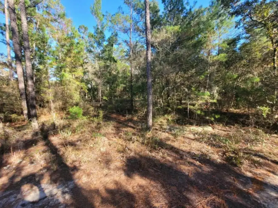 Lot 10 Blk 20 English Holly Lane, Defuniak Springs, FL 32433 - Image #2