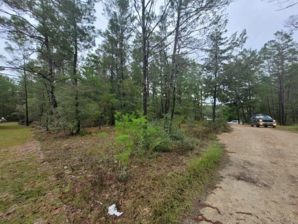 Lot 2 Blk 101 E. Bluebottle Court, Defuniak Springs, FL 32433 - Image #1