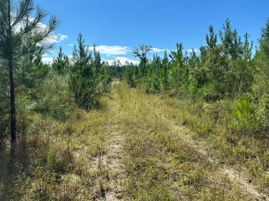 Parcel A Millside Road #<><, Laurel Hill, FL 32567 - Image #2