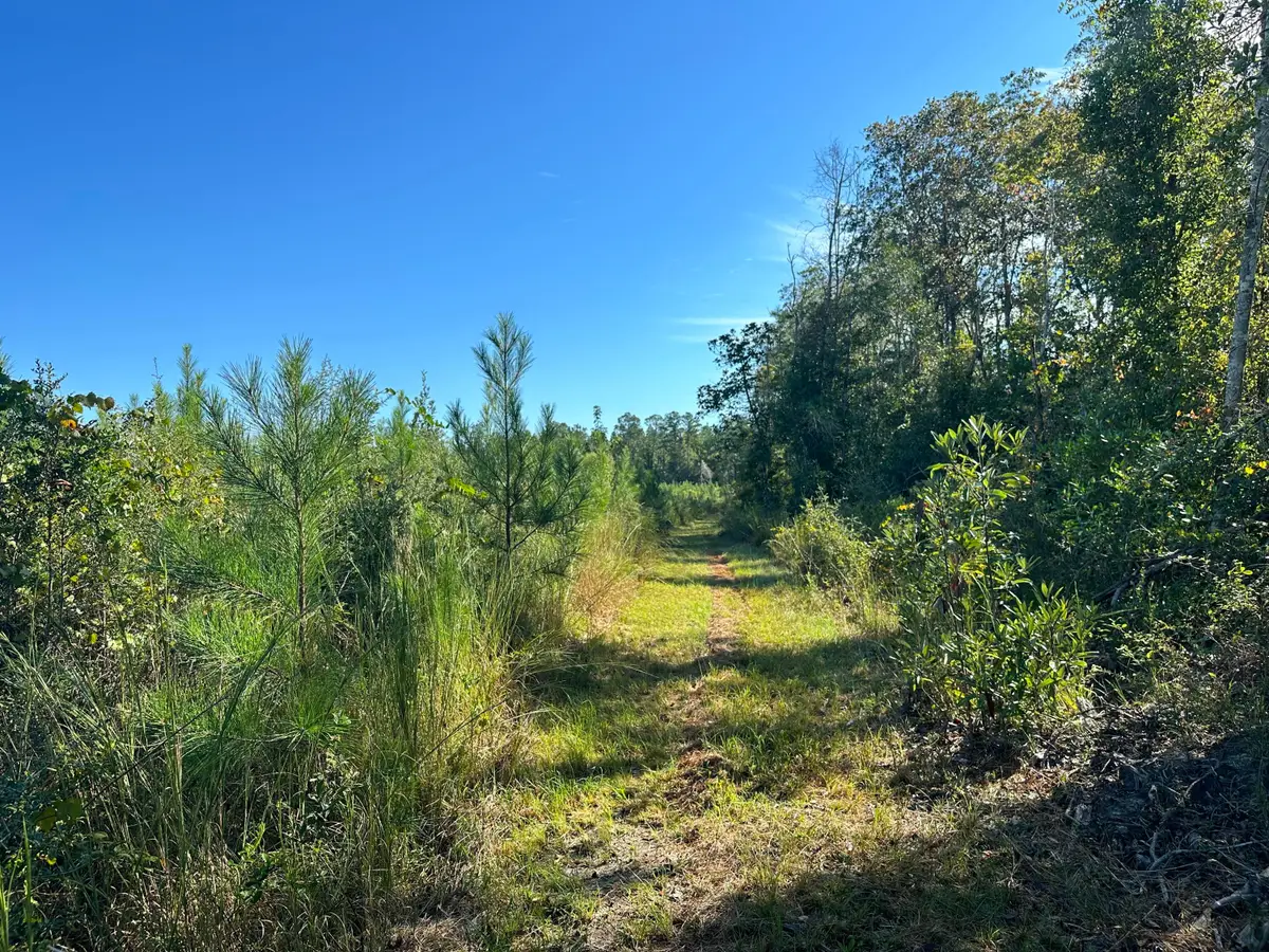 Parcel L Buck Tyner Road, Laurel Hill, FL 32567 - Image #1