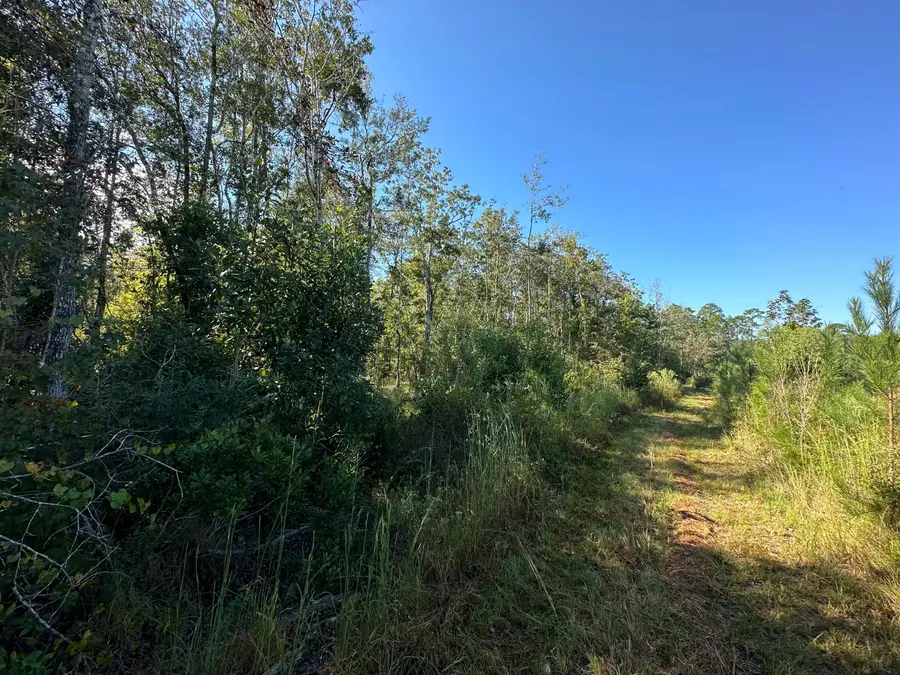 Parcel L Buck Tyner Road, Laurel Hill, FL 32567 - Image #3