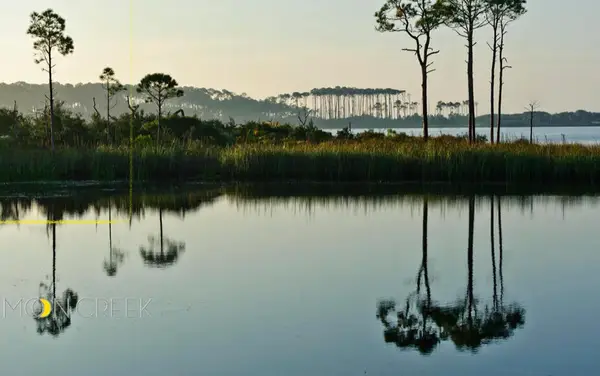 Lot 8 Wilderness Way, Santa Rosa Beach, FL 32459