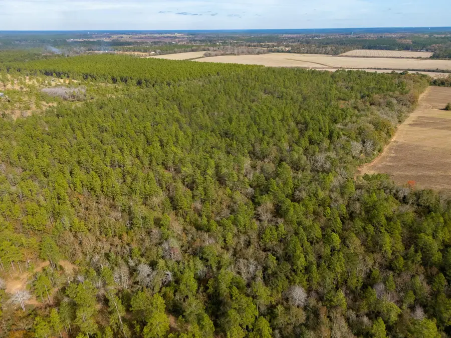 0000 N Bob Brooks Road, Baker, FL 32531 - Image #2