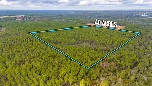 40 Acres Brooklyn Drive, DeFuniak Springs, FL 32433